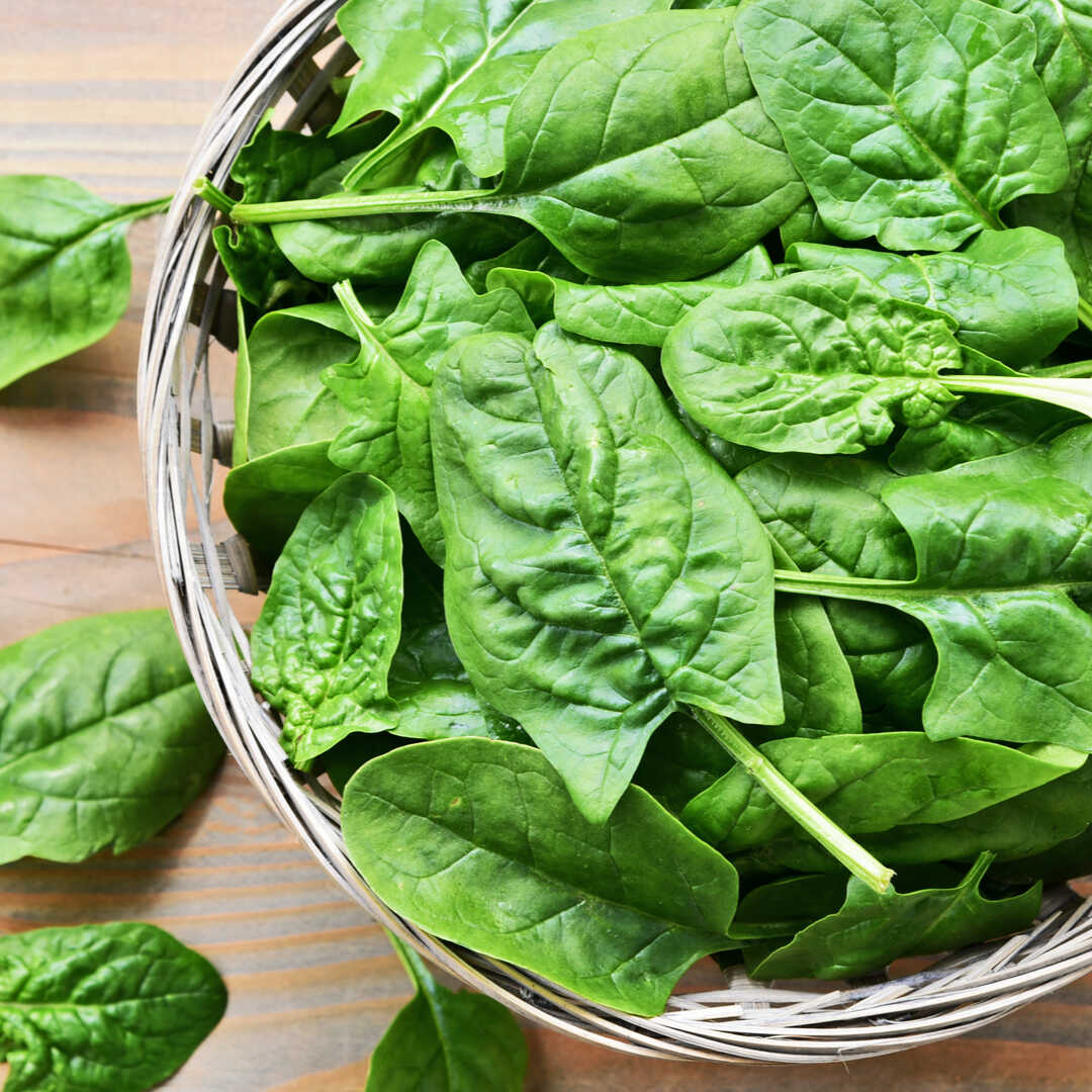 Bokoboko spinach